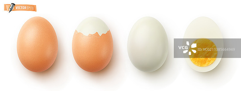 逼真的煮鸡蛋图片素材