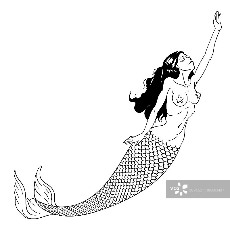 手绘美人鱼轮廓图片素材