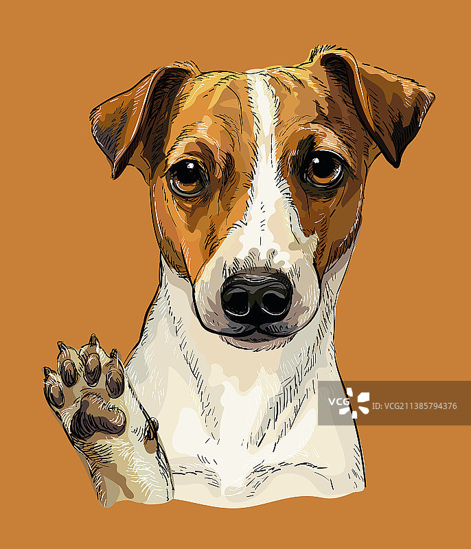手绘彩色杰克罗素梗犬图片素材