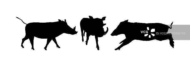 疣猪家庭轮廓图片素材