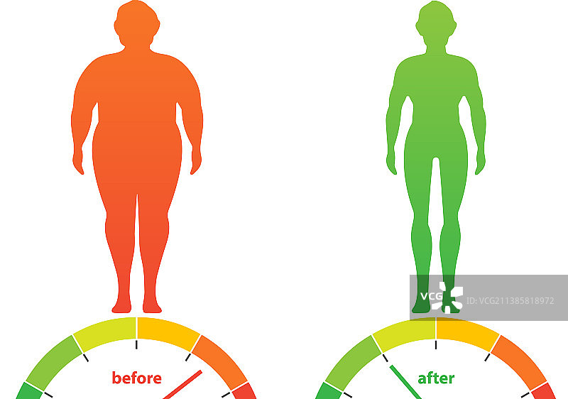 不同体型的身体质量指数图片素材