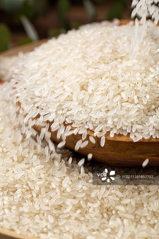 粮食农产品：五常大米特写图片素材