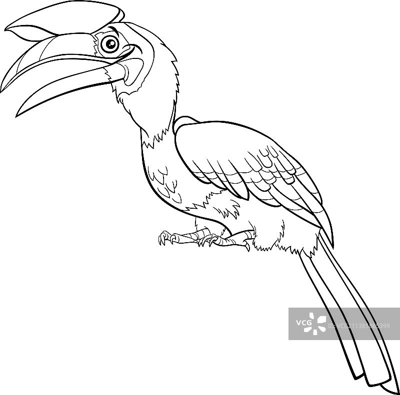 卡通犀鸟动物角色填色图片素材