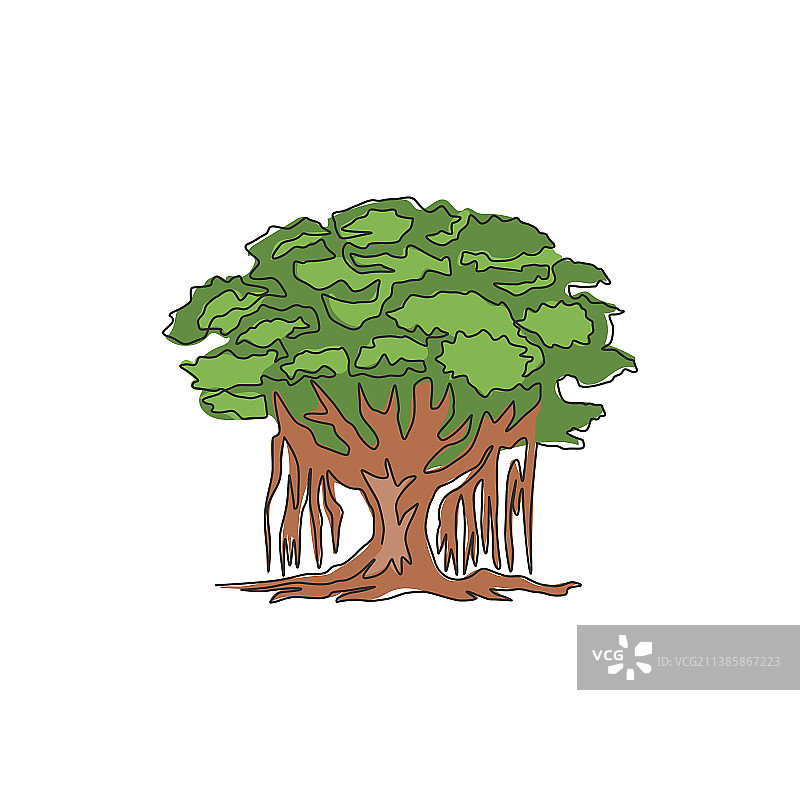 阴凉多叶的连续线条画图片素材