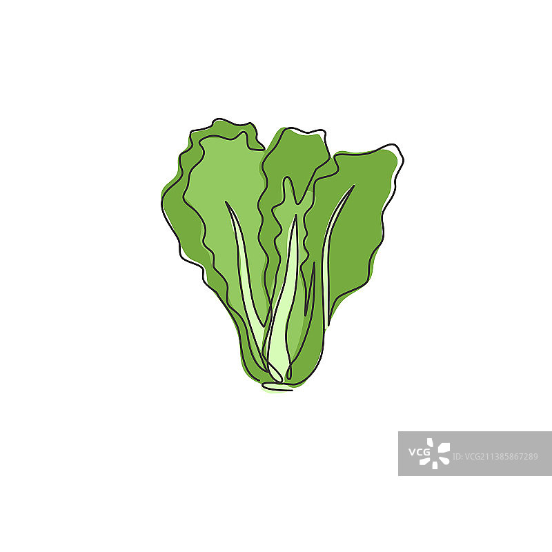 健康有机食品单线画图片素材