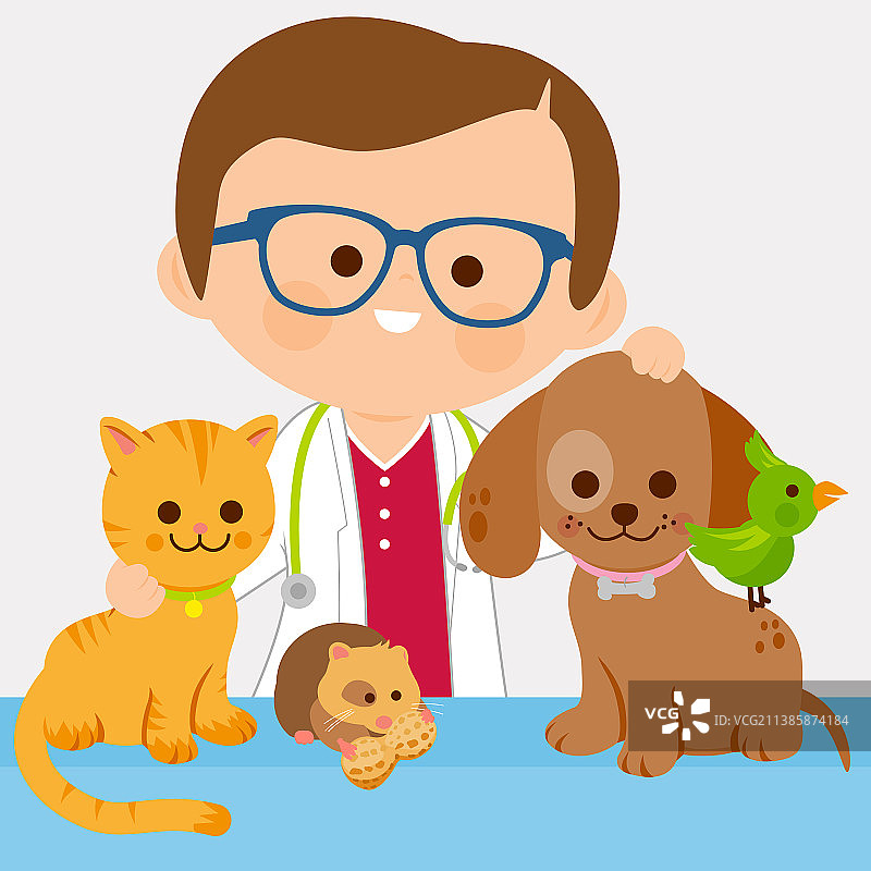 兽医和宠物图片素材