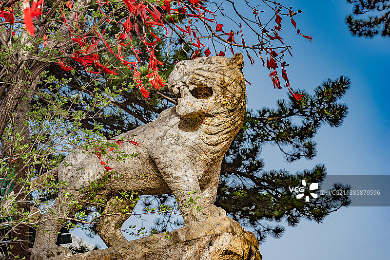 北京门头沟金顶妙峰山敕建碧霞元君惠济祠娘娘庙石虎图片素材