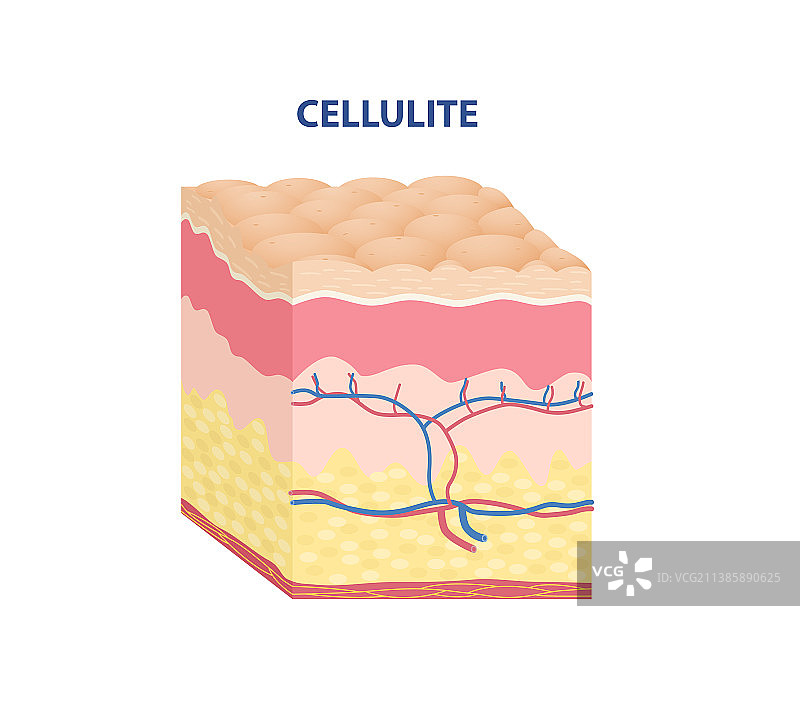 皮肤类型贴纸图片素材