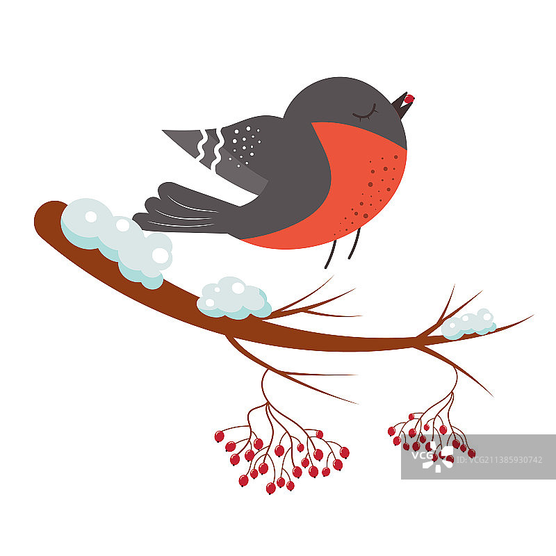 一只山雀鸟喙里叼着一颗浆果图片素材