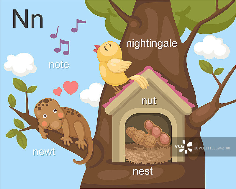 字母N：笔记、巢、坚果、夜莺图片素材