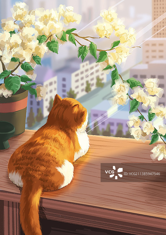 窗台看风景的猫图片素材