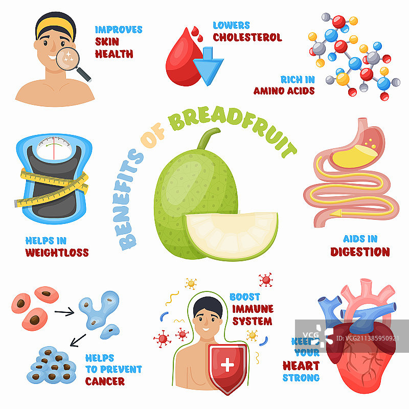 面包果的健康益处图标超级食品图片素材