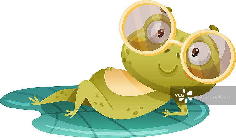 可爱有趣的青蛙荷叶绿植图片素材