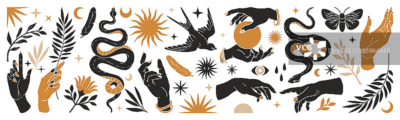 波西米亚风手绘蛇月亮太阳素材图片素材