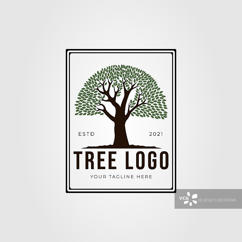 复古橡树或榕树植物标志设计图片素材