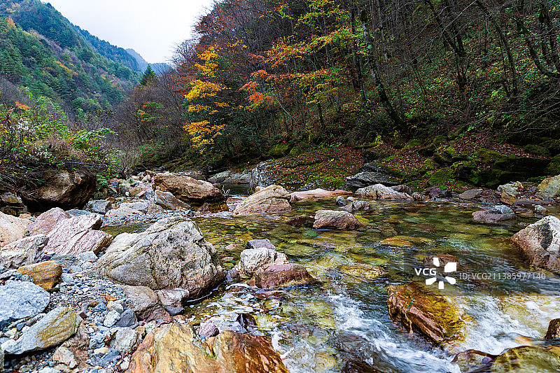 神农架峡谷溪流图片素材
