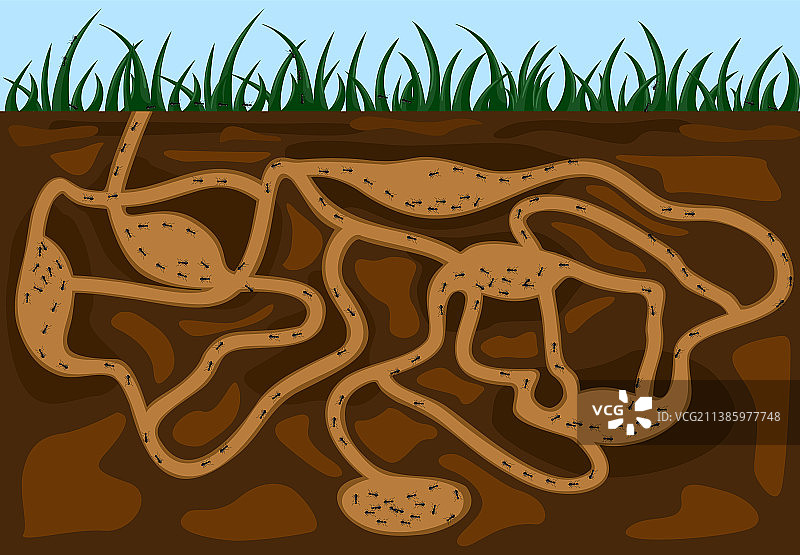 蚂蚁家族在蚁丘隧道中移动图片素材