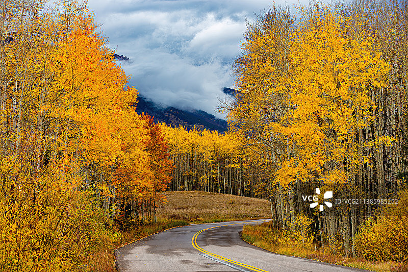秋色之路图片素材
