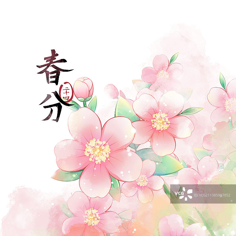 春分节气——桃花——二十四节气系列唯美花卉插画图片素材