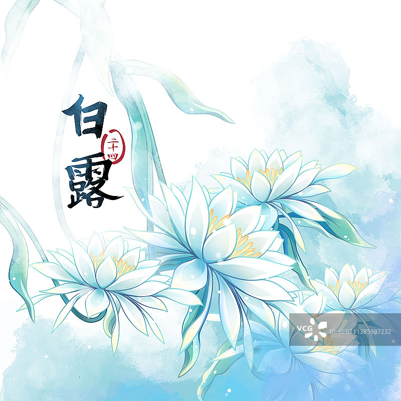 白露节气——昙花——二十四节气系列唯美花卉插画图片素材