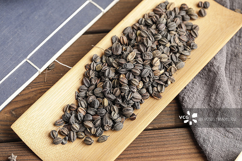 中国传统药材刺五加图片素材