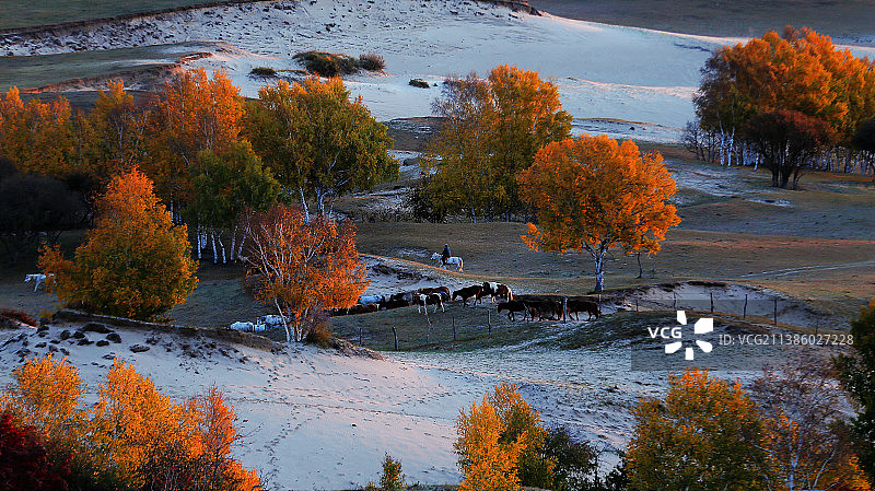 乌兰布统金秋图片素材