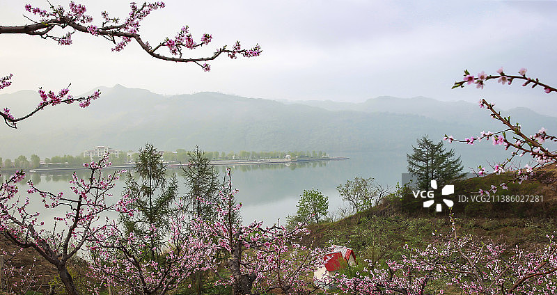 鸭绿江上桃花开图片素材