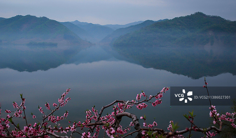 鸭绿江畔桃花开图片素材