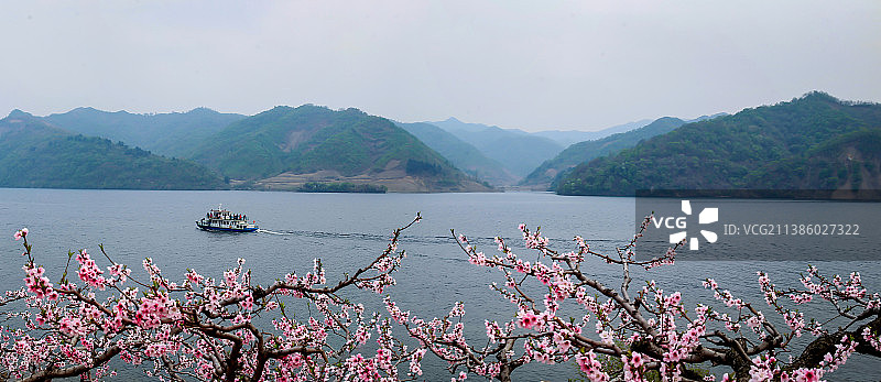 鸭绿江畔桃花开图片素材