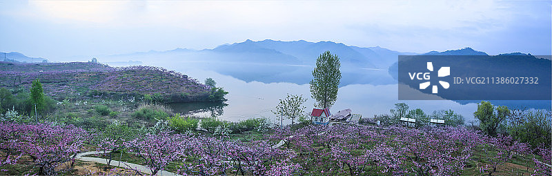 鸭绿江畔桃花开图片素材