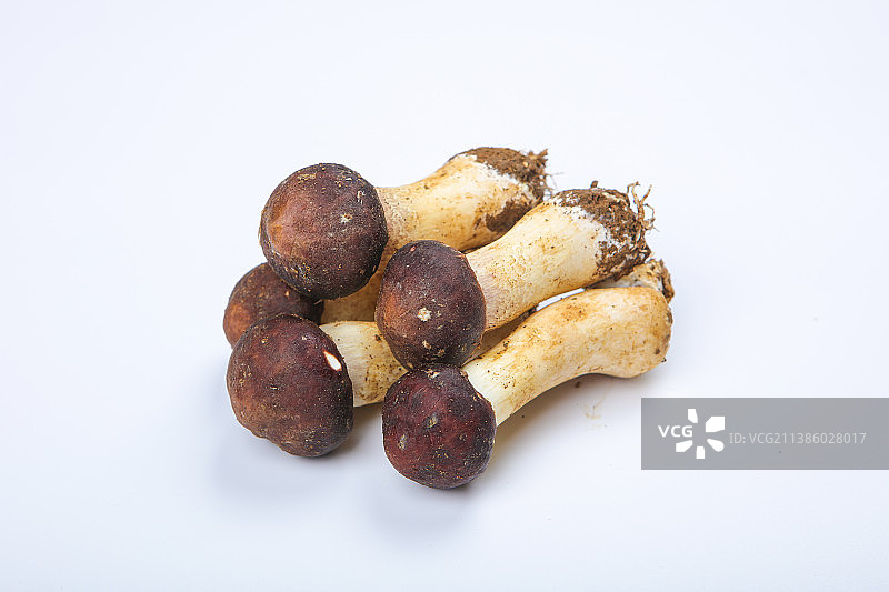 少量姬松茸图片素材