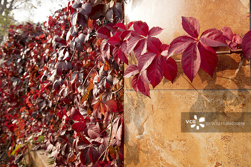 北戴河图片素材