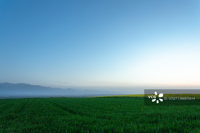 秦岭山下的麦田油菜花图片素材