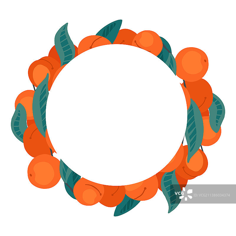 圆形边框与桃杏树叶图片素材