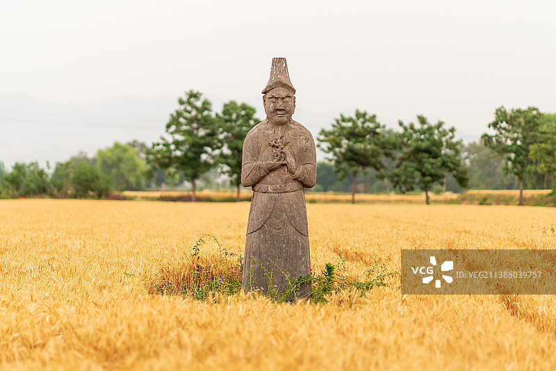 河南巩义北宋皇陵麦田里的石刻雕像高清特写摄影图片素材