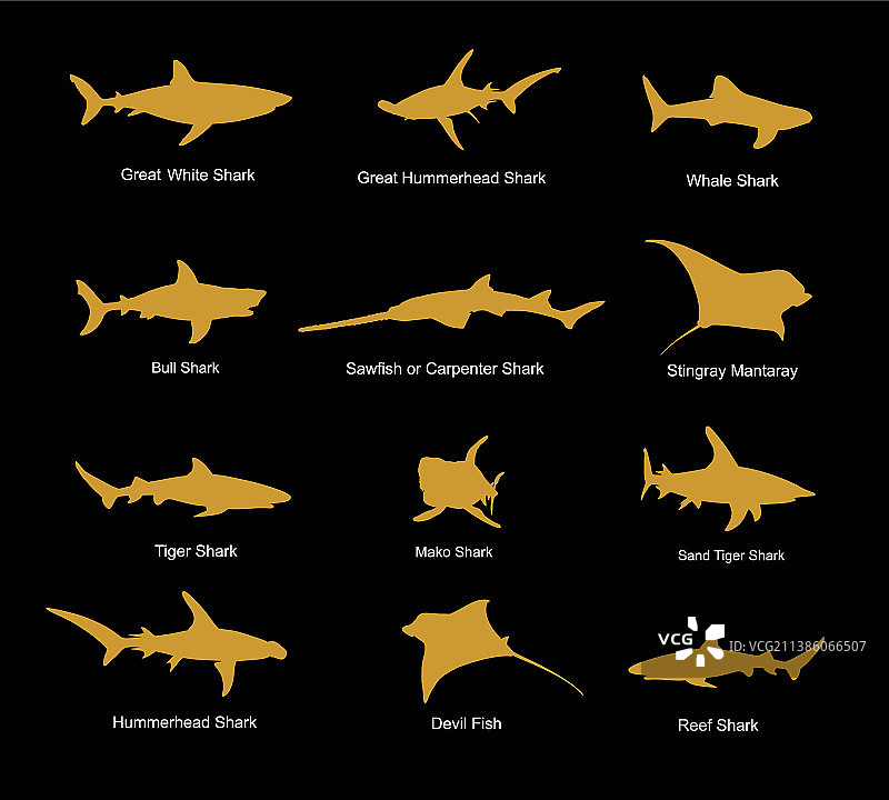 鲨鱼剪影合集图片素材
