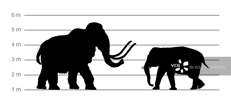 猛犸象与大象男性轮廓剪影图片素材