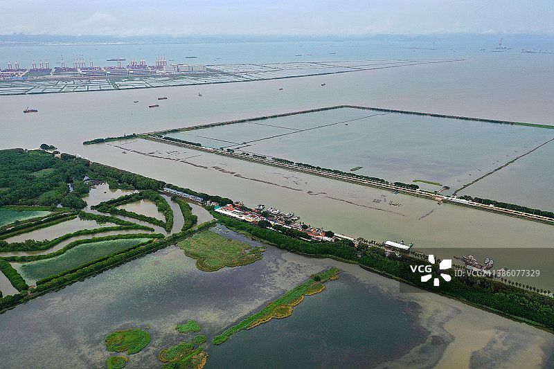 广东省广州市南沙区万顷沙镇南沙湿地公园航拍图片素材