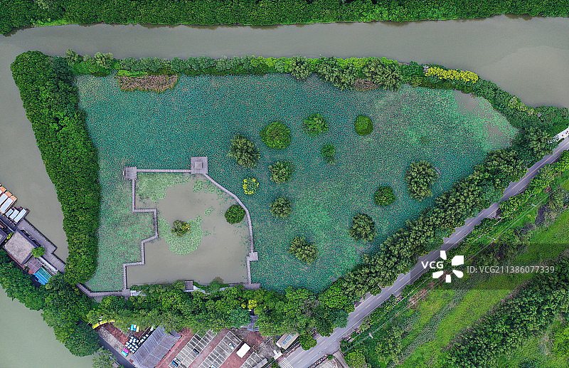 广东省广州市南沙区万顷沙镇南沙湿地公园航拍图片素材