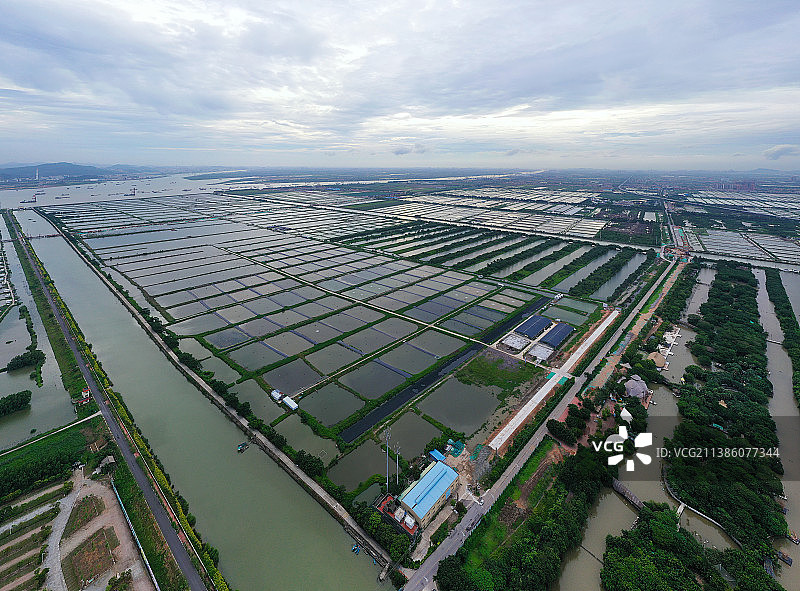 广东省广州市南沙区万顷沙镇南沙湿地公园航拍图片素材