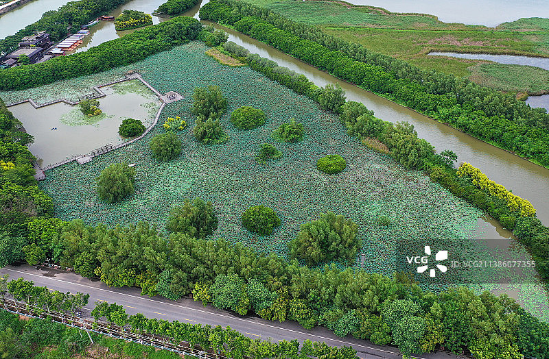 广东省广州市南沙区万顷沙镇南沙湿地公园航拍图片素材