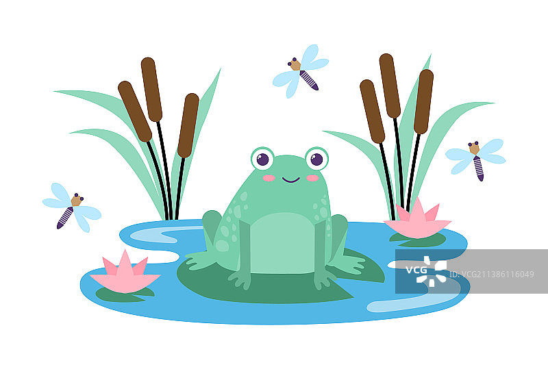 可爱青蛙概念图片素材