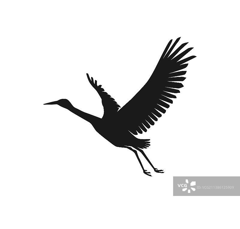 苍鹭或鹳鸟剪影图片素材