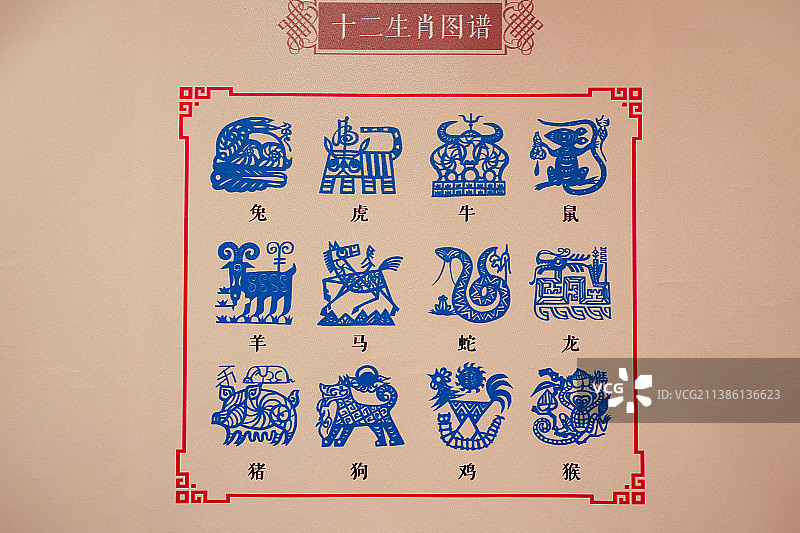 十二生肖图谱图片素材