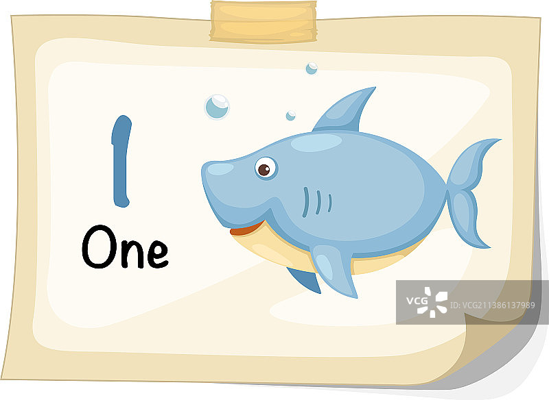 第一名鲨鱼图片素材