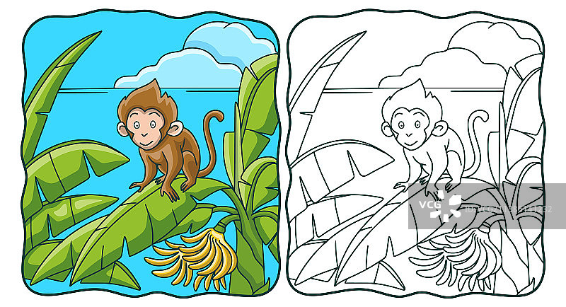 卡通猴子爬香蕉树涂色书图片素材