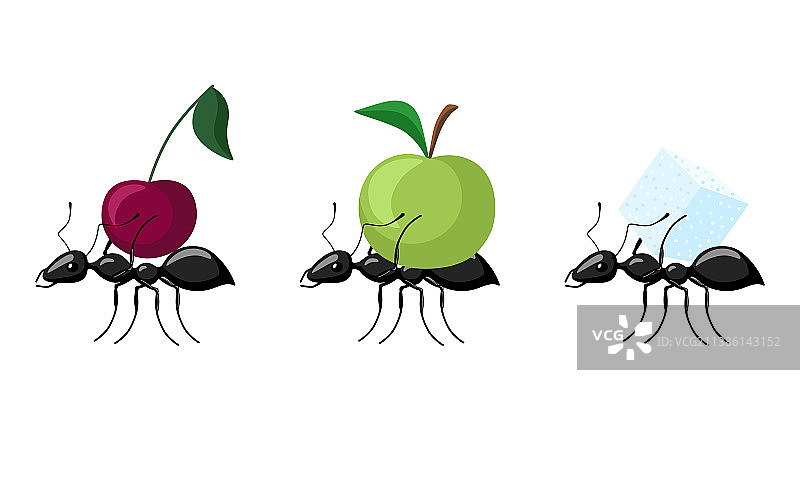 蚂蚁搬运不同水果图片素材