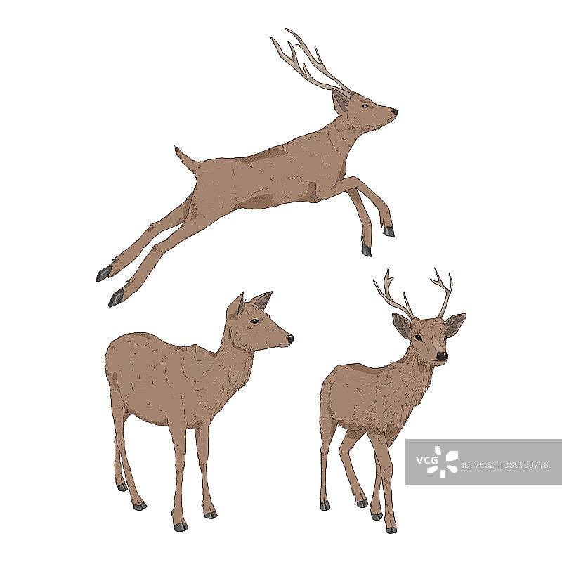 卡通小鹿插画合集图片素材