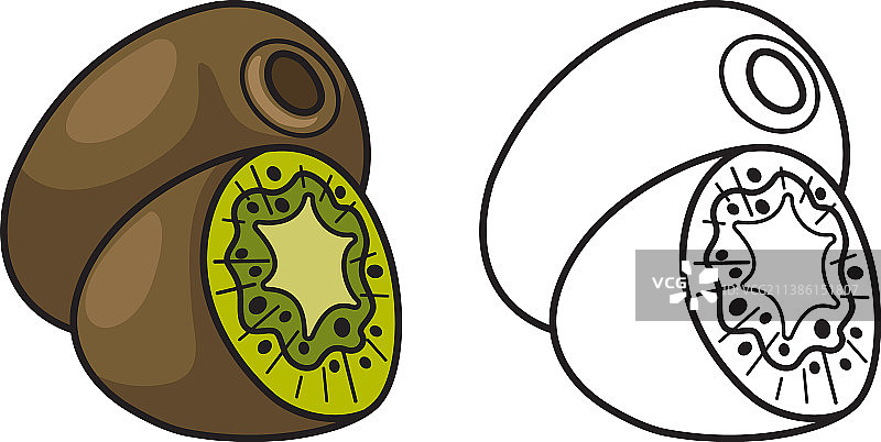 彩色黑白猕猴桃填色素材图片素材