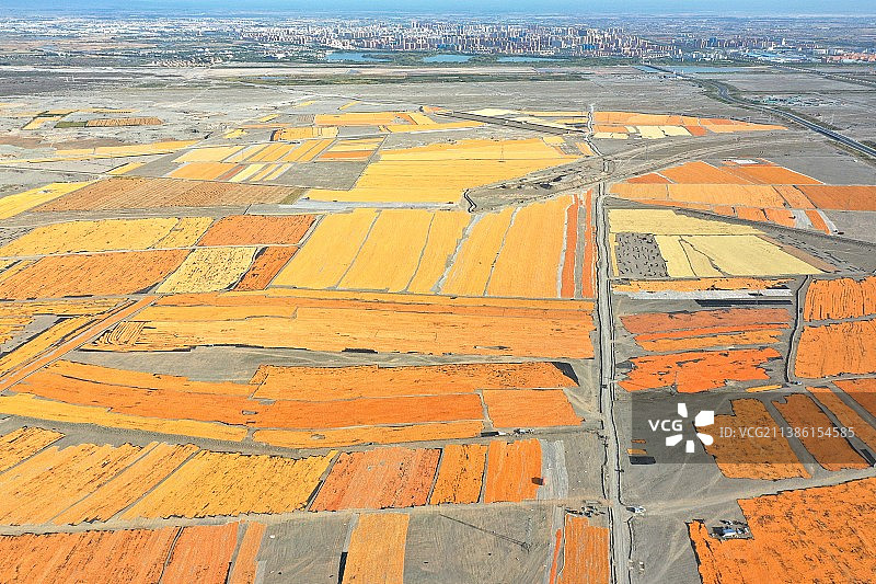 丰收的大地图片素材